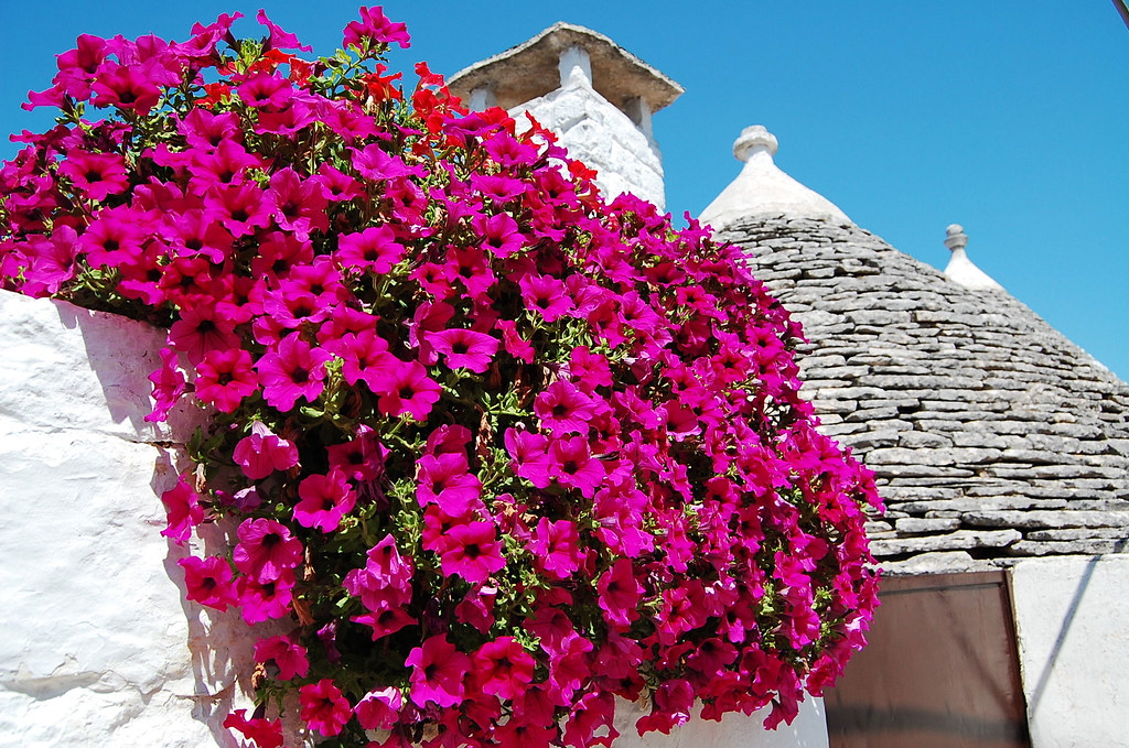 Puglia – várak, katedrálisok, delfinek, ízek és zamatok 